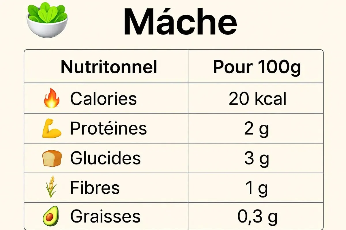 Pourquoi manger de la mâche le soir est bénéfique ?